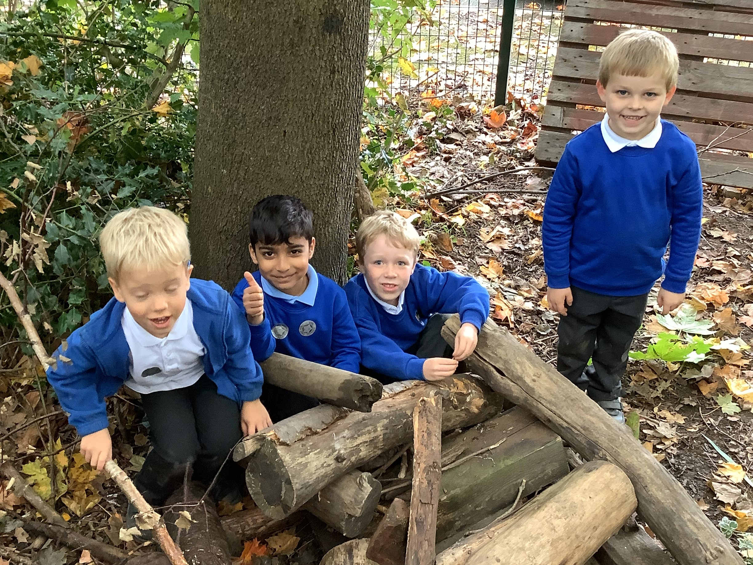 Y1 in the Forest